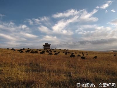 关于人生感悟的句子