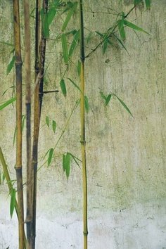 个人过花季的微疼句子大全