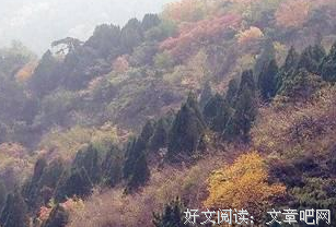 关于缘来是你的优美句子