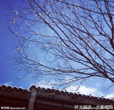 《雪霁》的句子