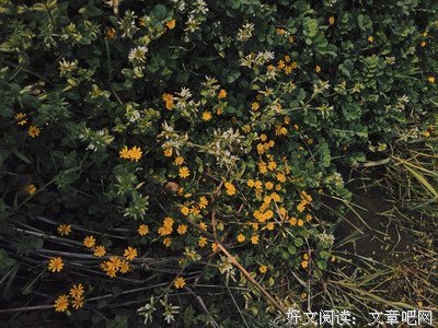忆潇湘句子