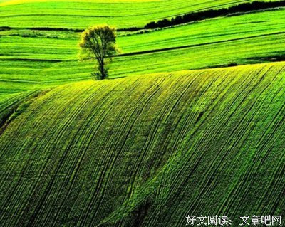 所爱经典名句