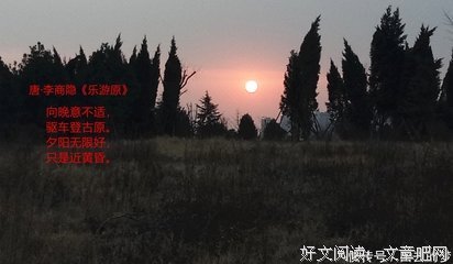 杨葵名言大全