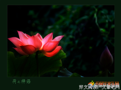 最全的《1、智慧的佛法、慈悲的佛心》经典语句大全