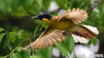 《无处可逃》影评摘抄