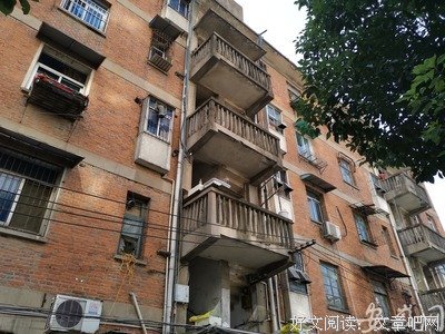 红楼梦魇读后感摘抄