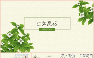 你爱香草吗读后感100字