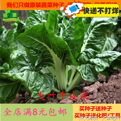 《菜根潭》读后感100字