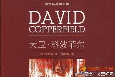 《大卫・科波菲尔（英汉对照）》读后感100字