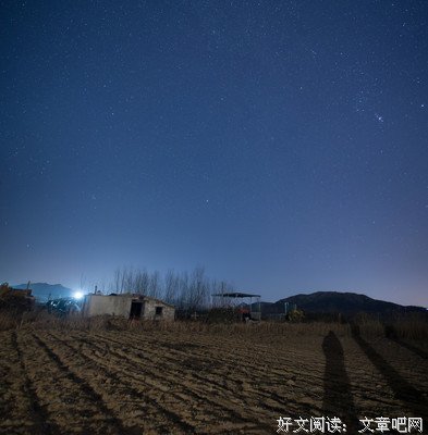《伤花怒放》读后感1000字