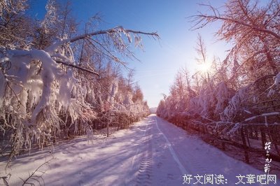 大地的钟声经典读后感有感