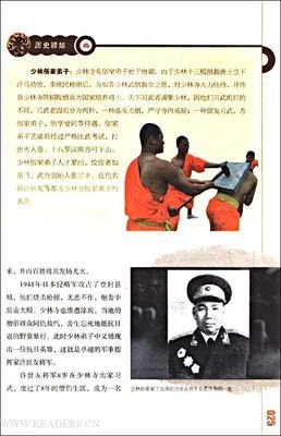 完全武林门派手册经典读后感有感