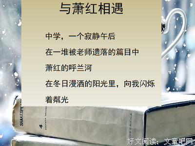 《战争风云》读后感精选