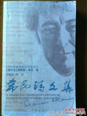 希尼诗文集经典读后感有感