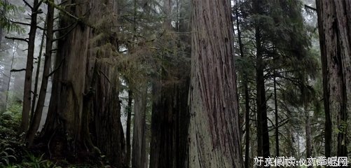 《世界五千年》读后感摘抄