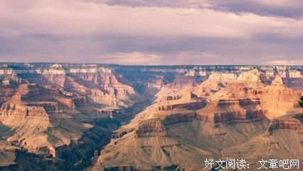 《抉择》读后感1000字