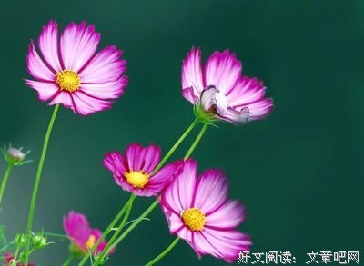 《中午的黑暗》的读后感大全