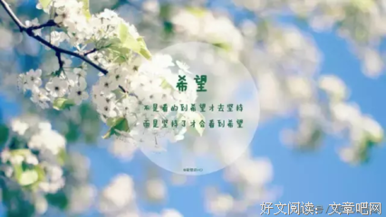 喜爱优美的句子