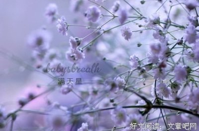 我立好用在句子