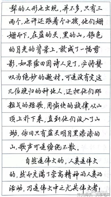 可悲的优美句子