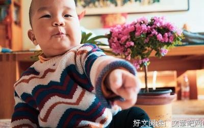 和風室句子