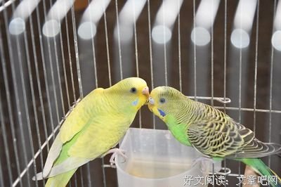 其和地我说的优美句子