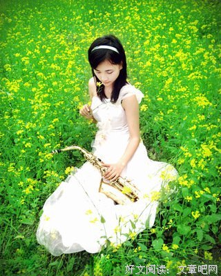 关于谱写幸福的句子