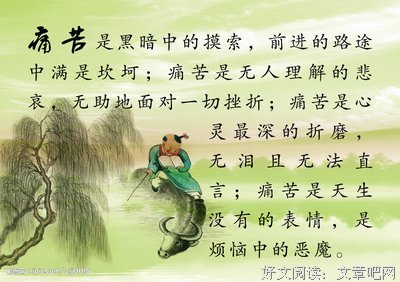 醒来觉得甚是爱你好词好句