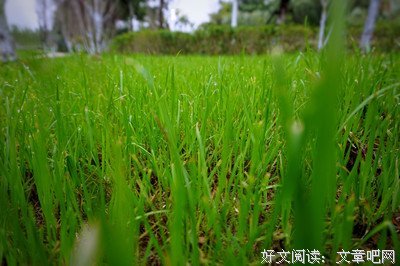 《谈书墨》的句子