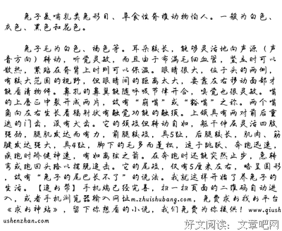 最全的毛毛的名言