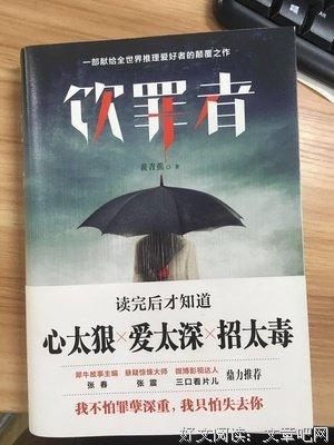 最新的《饮罪者》小说摘抄