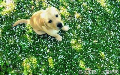 《快穿学可万千宠爱》小说摘抄大全