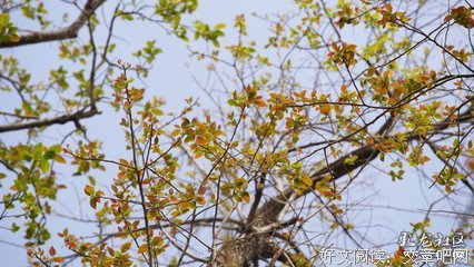 学会自己哄自己开心（经典）