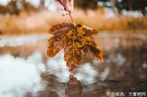 苦难再多，不过是助我修行