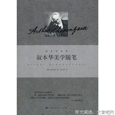 《叔本华美学随笔》读后感1000字