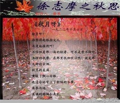 《徐志摩传》经典读后感有感