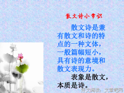 《我本不该成为母亲》读后感精选
