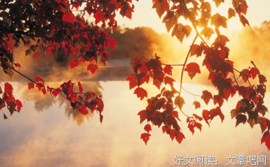 《郁达夫经典》的读后感大全