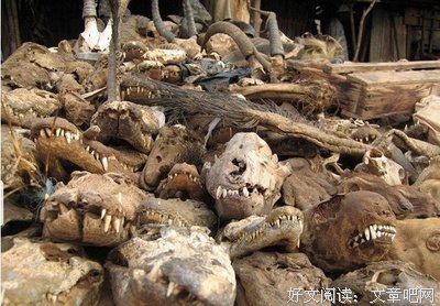 《西方文明的另类历史》经典读后感有感