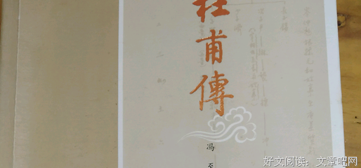 《杜甫传》的读后感大全