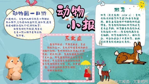 《无从驯服的斑马》读后感摘抄