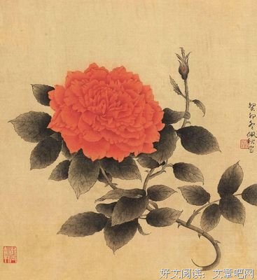 有关耐人寻味的句子