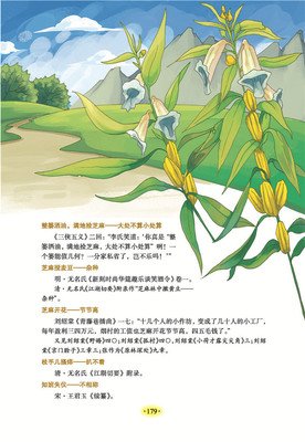张琪经典名句