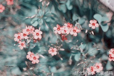 人生如梦句子大全