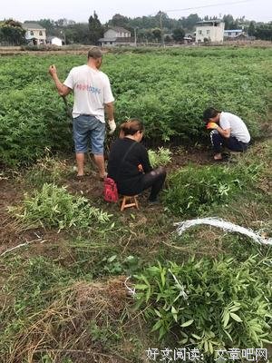温暖的真挚经典的句子