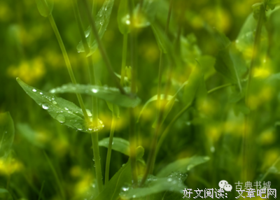《成下山处闲愁》的句子