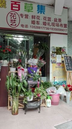 关于千花百草集的句子
