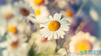 2019江河经典名句