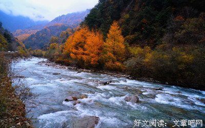 最全的沐月的名句
