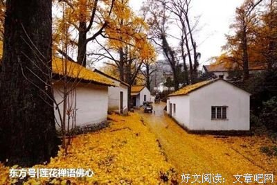 洪迈经典名句
